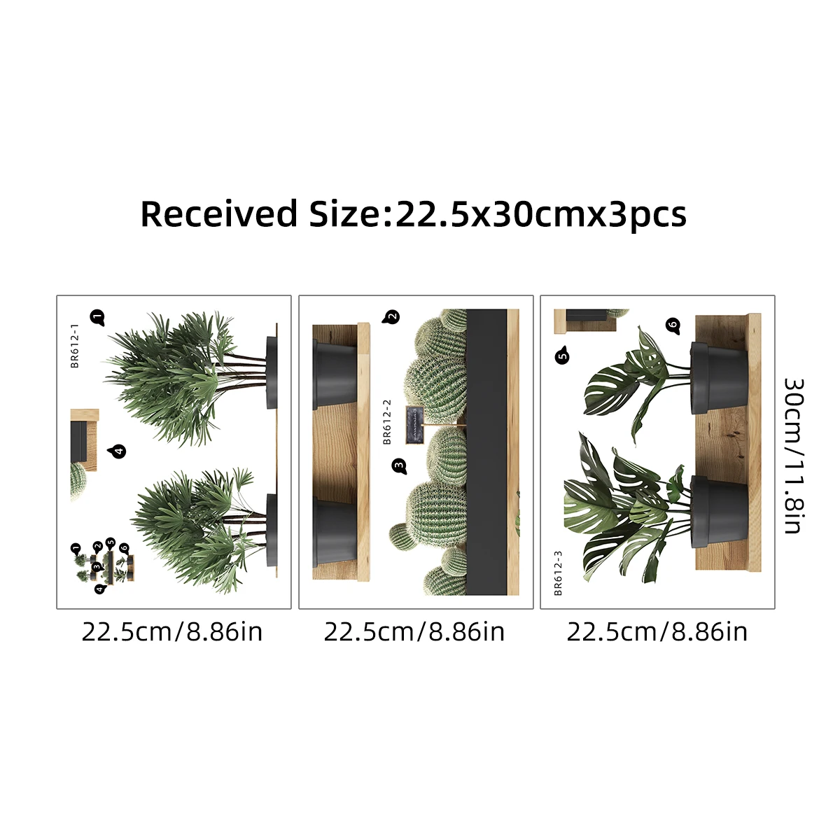 3PCS-Green-Plant-Cactus-Potted-Wall-Stickers-for-Bedroom-Living-Room-Bathroom-Home-Decoartion-Wall-Decals-5.webp