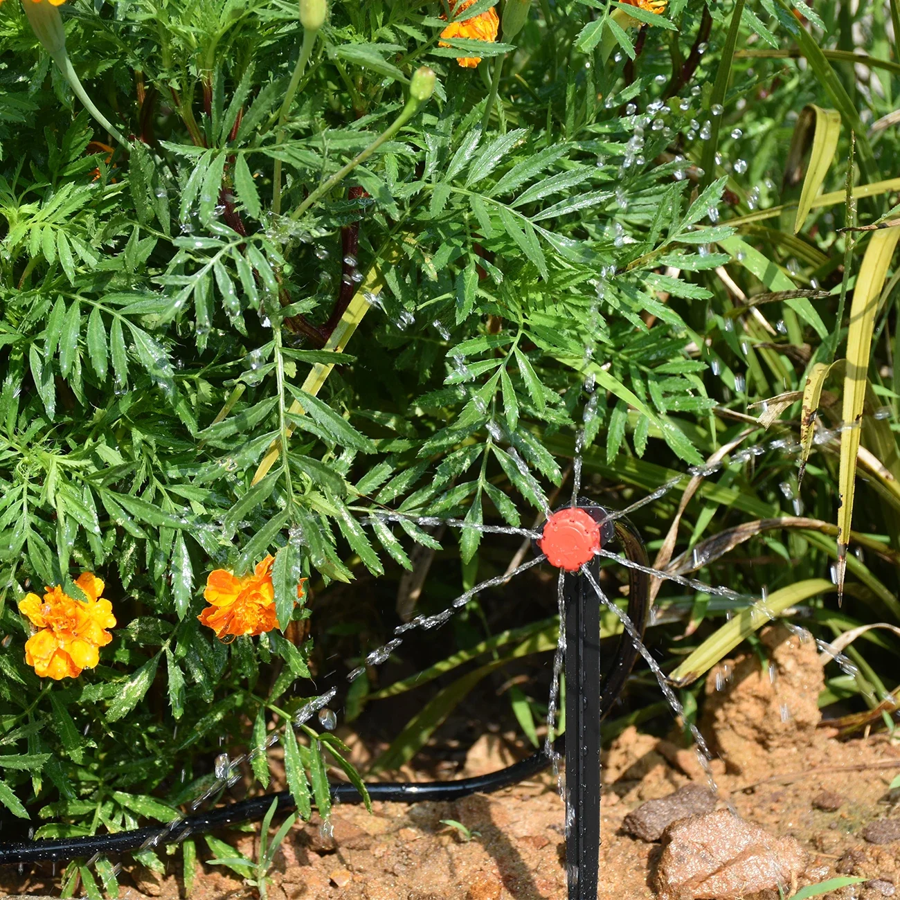 KESLA-Garden-Drip-Irrigation-Automatic-Watering-System-Kit-1-4-Nozzles-for-Bonsai-Pot-Plant-Lawn-3.webp