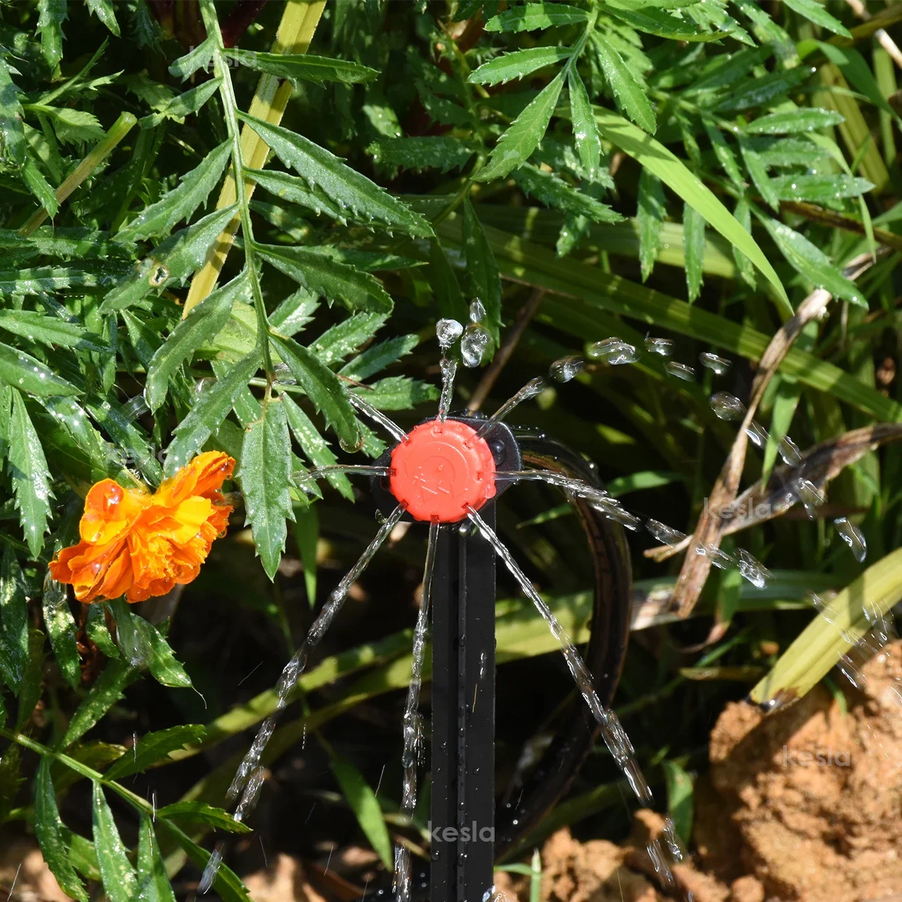 KESLA-Garden-Drip-Irrigation-Automatic-Watering-System-Kit-1-4-Nozzles-for-Bonsai-Pot-Plant-Lawn-4.webp
